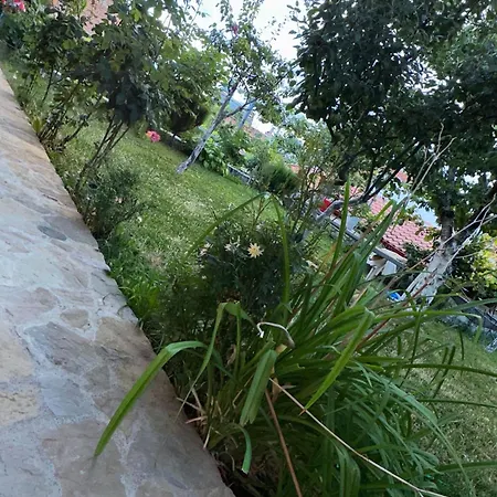 Gardenhouse 別荘 Memlishte