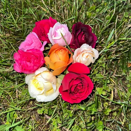 Gardenhouse Feriehus *