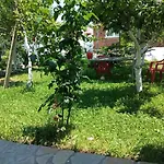 Gardenhouse *