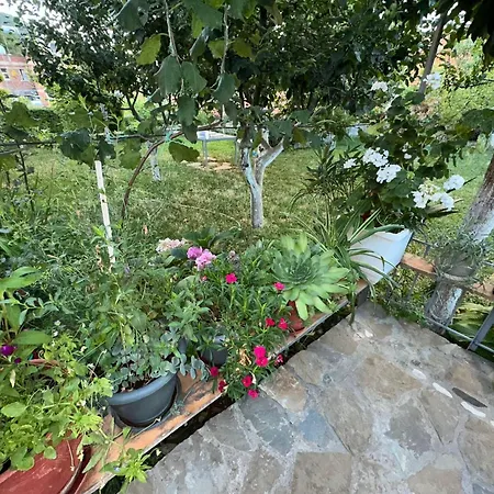 Gardenhouse Memlishte