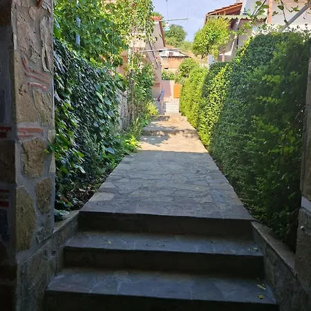 Gardenhouse *